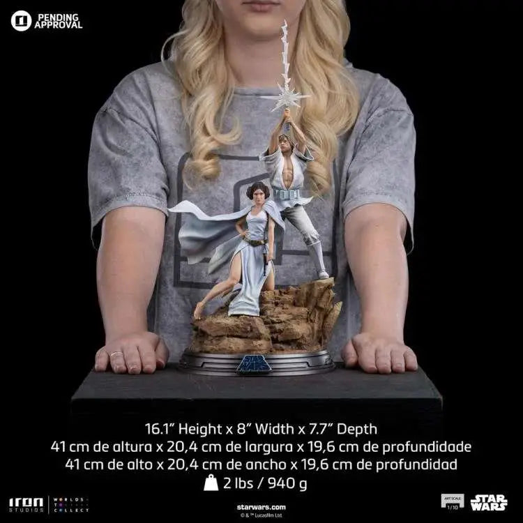 STAR WARS LUKE AND LEIA DLX 1/10 STATUE