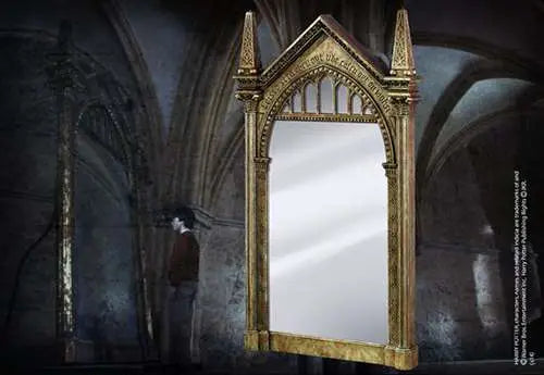 HP MIRROR OF ERISED cod.7856