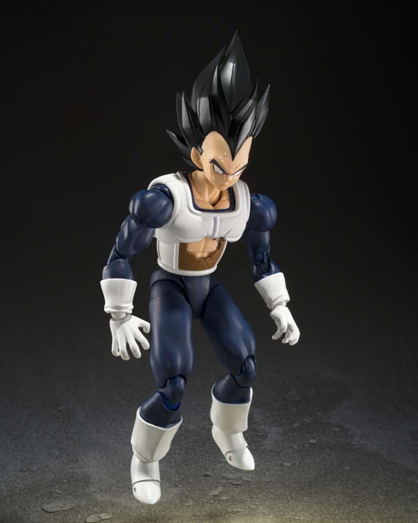 DB VEGETA OLD BATTLE CLOTHES SHF