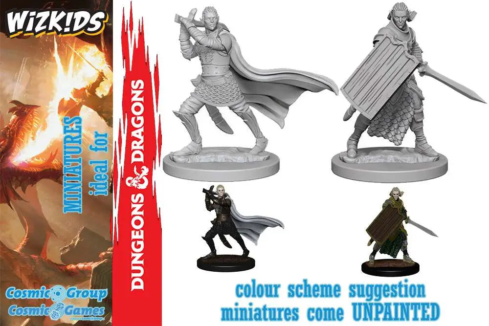 WIZKIDS - DC PATHFINDER UM ELF MALE PALADIN MINI FIGURA