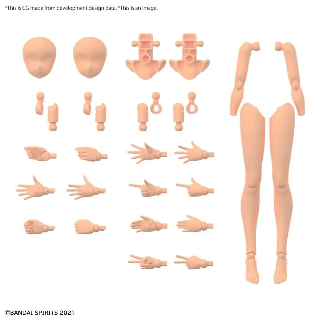 BANDAI 30MS OP BODY PARTS ARM & LEG COLOR C MODEL KIT -