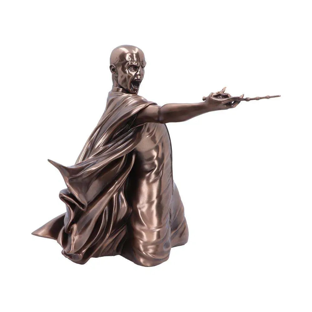 HARRY POTTER VOLDEMORT AVADA KEDAVRA