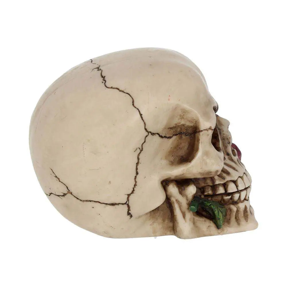 NEMESIS NOW SKULL GOTHIC ROSE DEAD FIGURA 15 cm