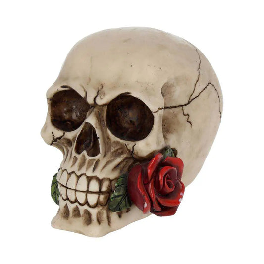 NEMESIS NOW SKULL GOTHIC ROSE DEAD FIGURA 15 cm