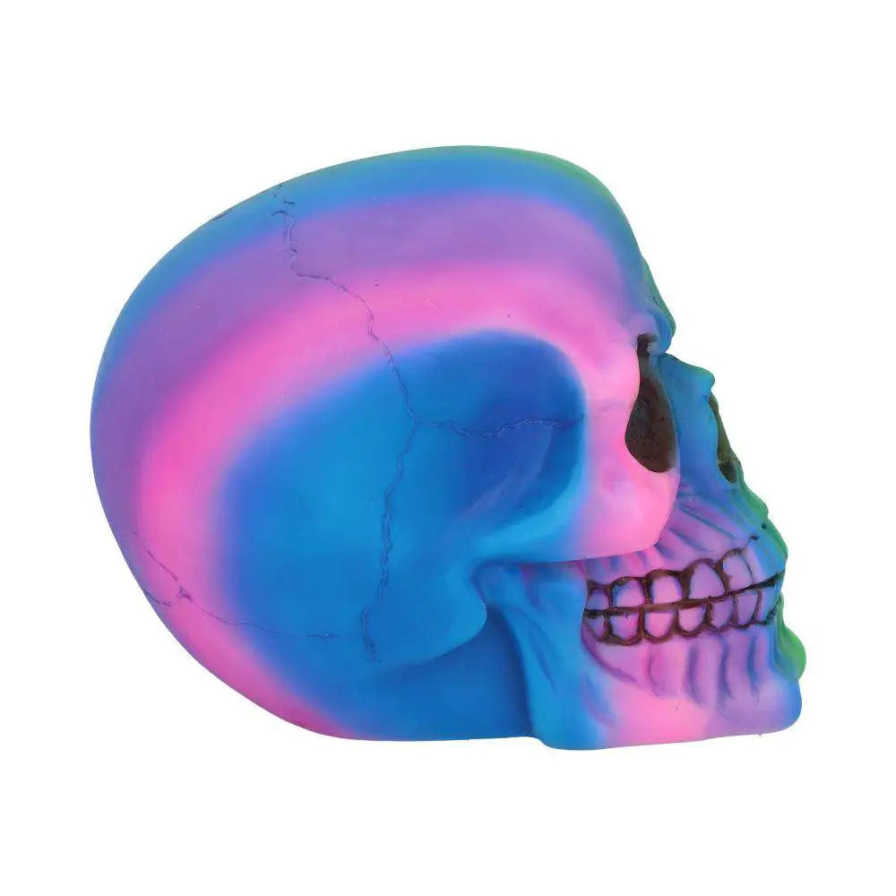 NEMESIS NOW SKULL ORNAMENT RAINBOW STATUA 15.5 cm