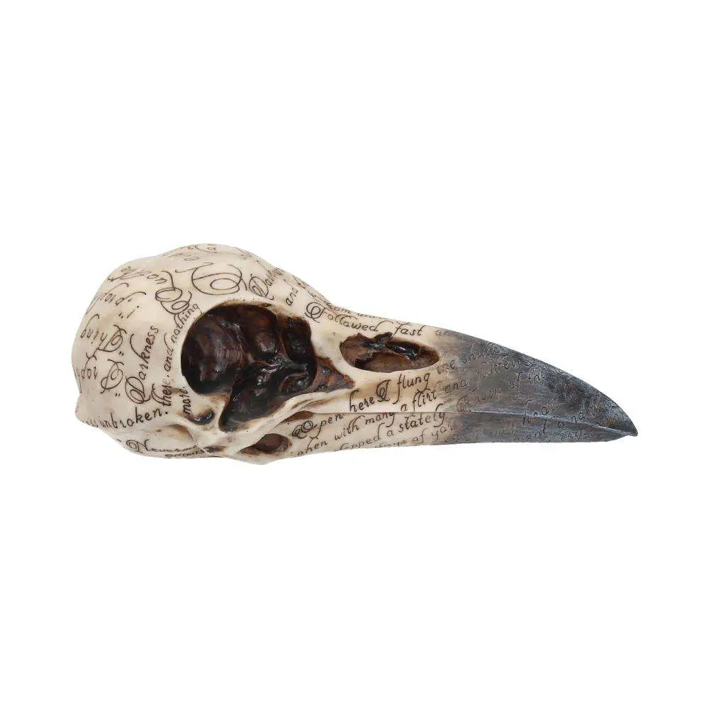 NEMESIS NOW EDGAR POE RAVEN SKULL FIGURA 21 cm