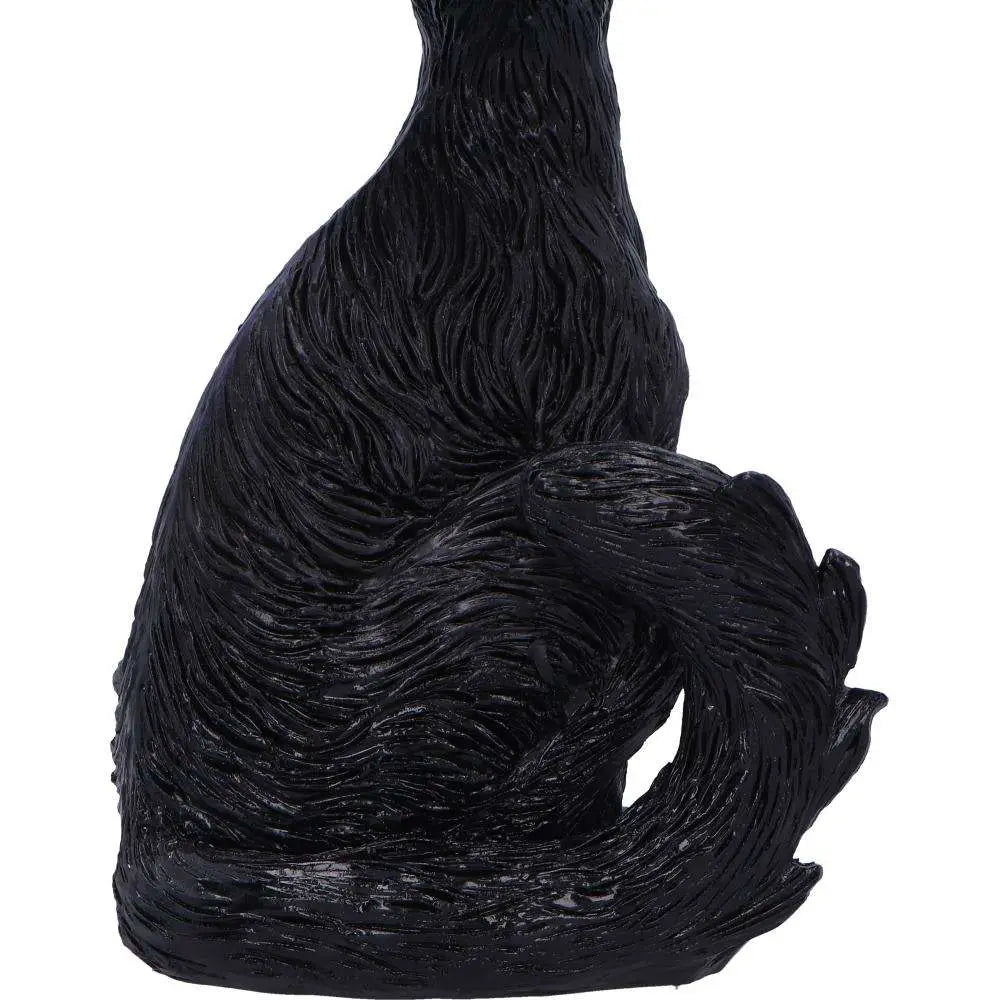 NEMESIS NOW KIT BLACK CAT FIGURINE FIGURA 21 cm