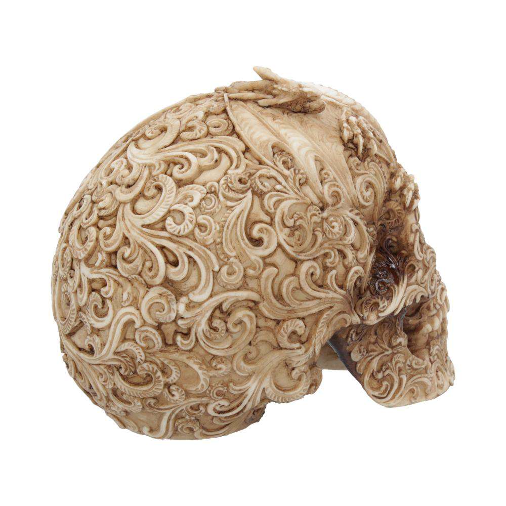 SKULL ORNAMENT CRANIAL DRAKOS