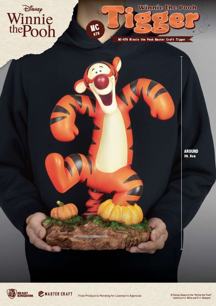 WINNIE THE POOH MASTER CRAFT TIGGER