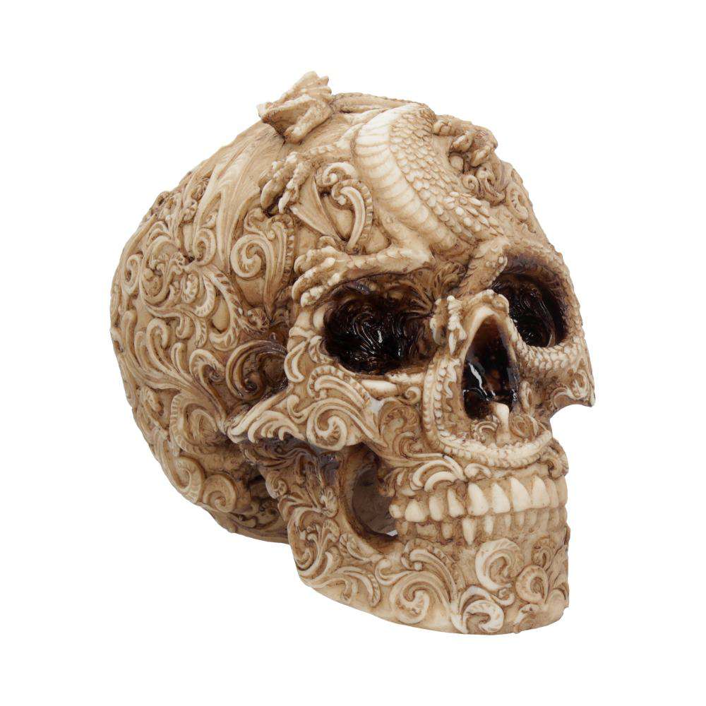 SKULL ORNAMENT CRANIAL DRAKOS