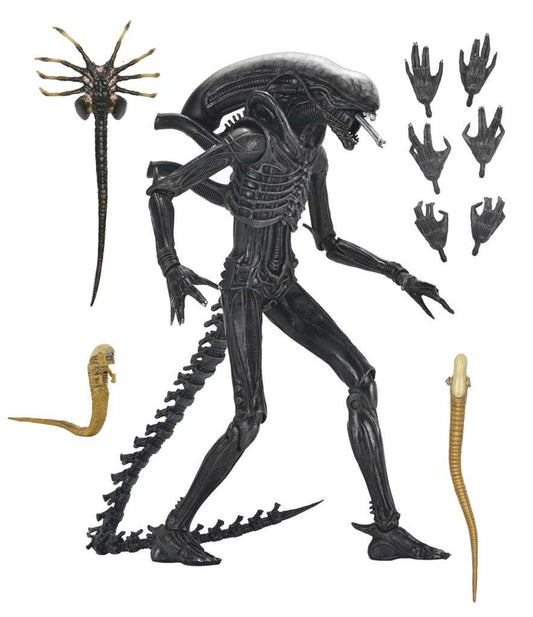 ALIEN ROMULUS XENOMORPH XX121 ULTIMAT AF