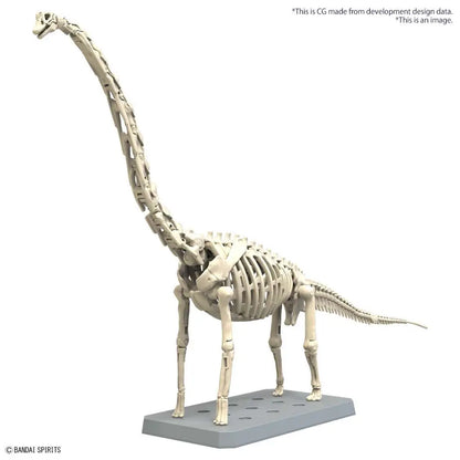 BANDAI PLANNOSAURUS BRACHIIOSAURUS MODEL KIT 27 cm