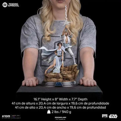 STAR WARS LUKE AND LEIA DLX 1/10 STATUE