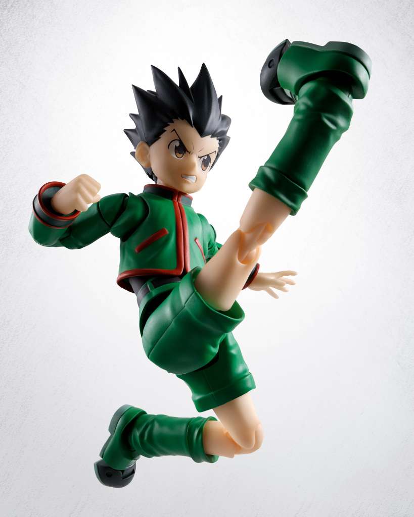 Hunter x hunter gon shf