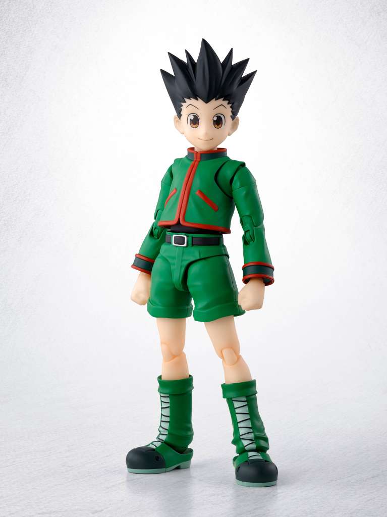 Hunter x hunter gon shf