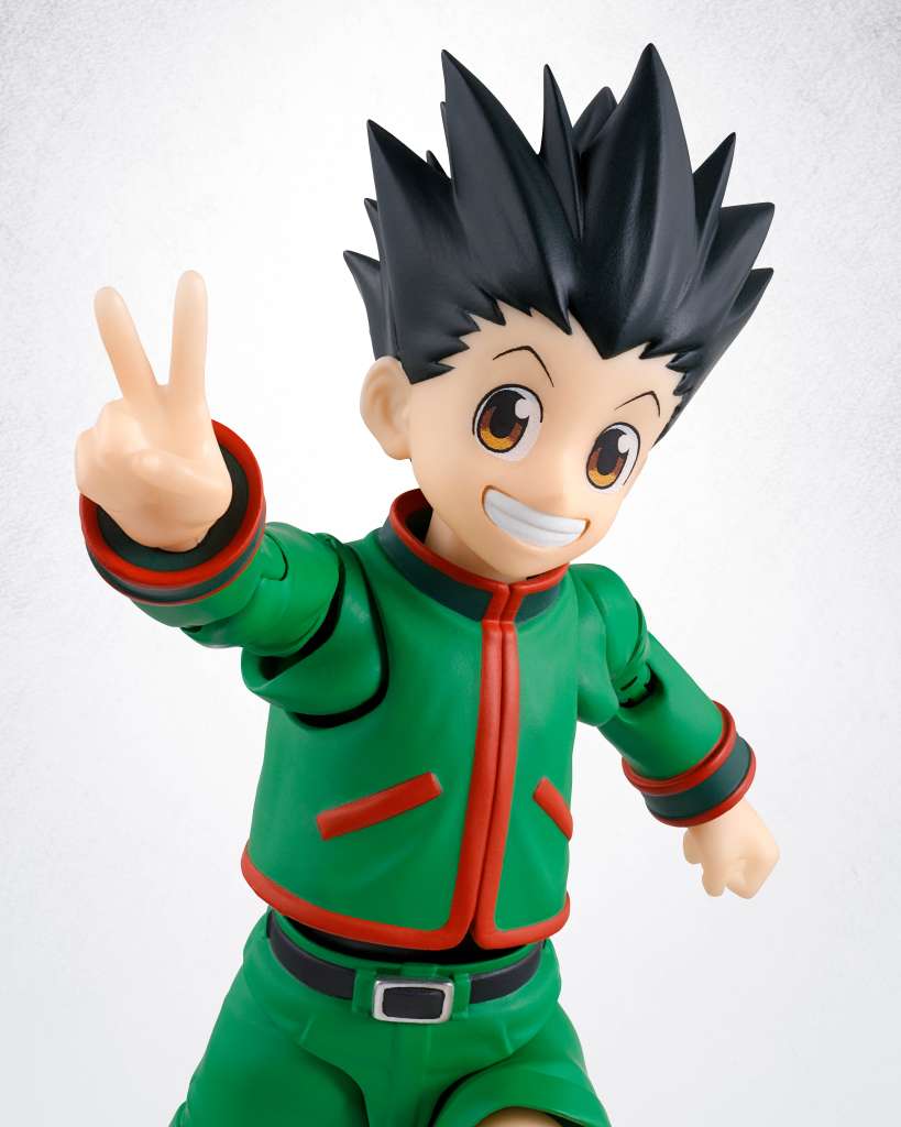 Hunter x hunter gon shf