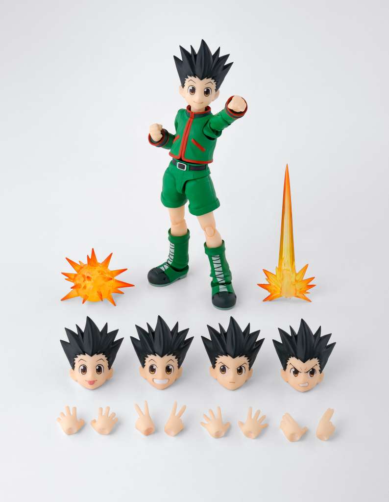 Hunter x hunter gon shf
