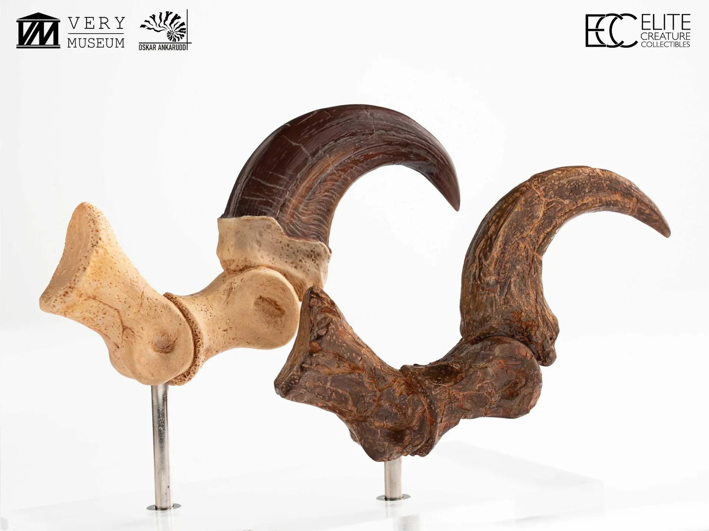JURASSIC PARK VELOCIRAPTOR FOOT CLAW AND FOSSIL CLAW SET