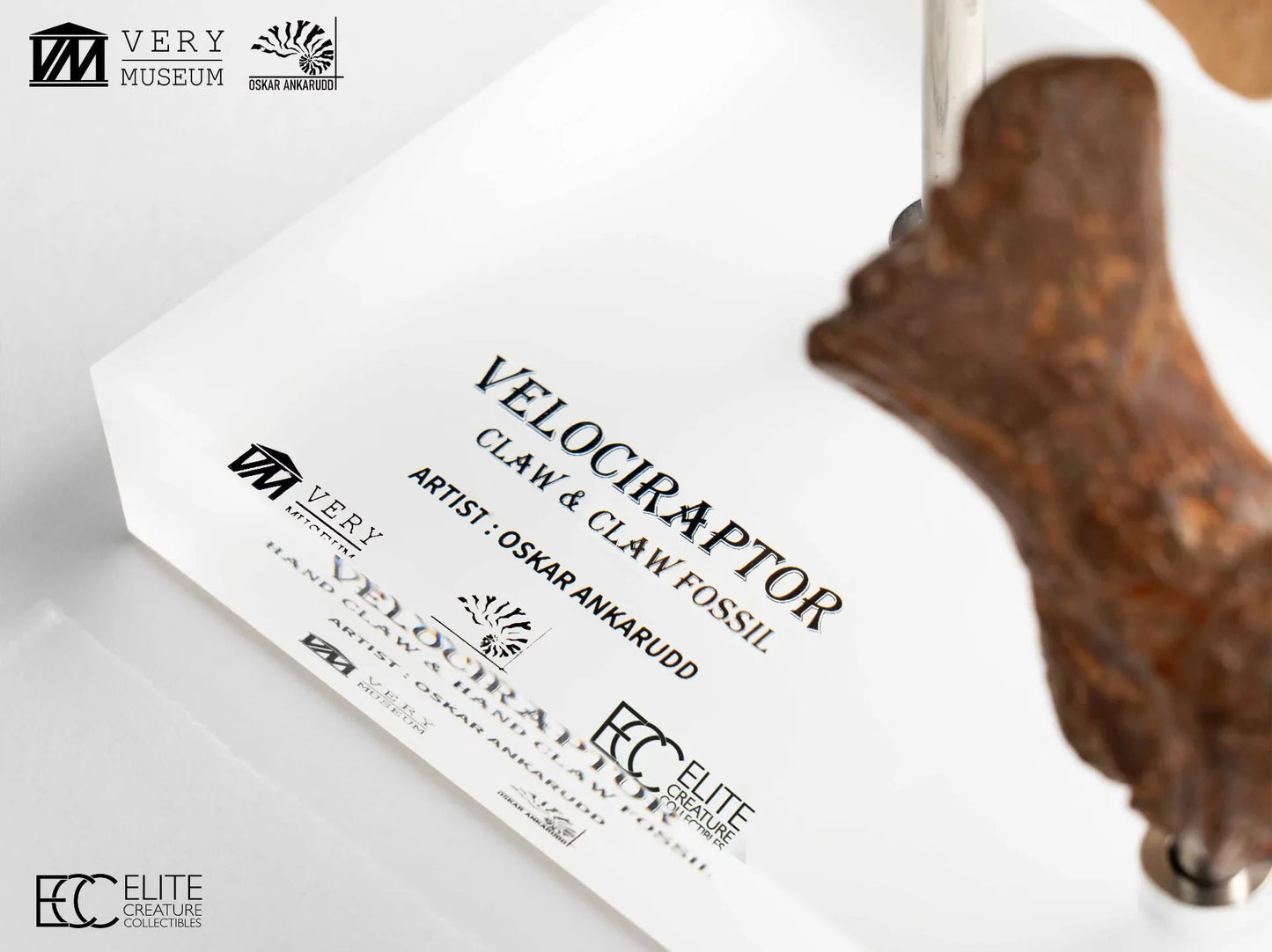 JURASSIC PARK VELOCIRAPTOR FOOT CLAW AND FOSSIL CLAW SET