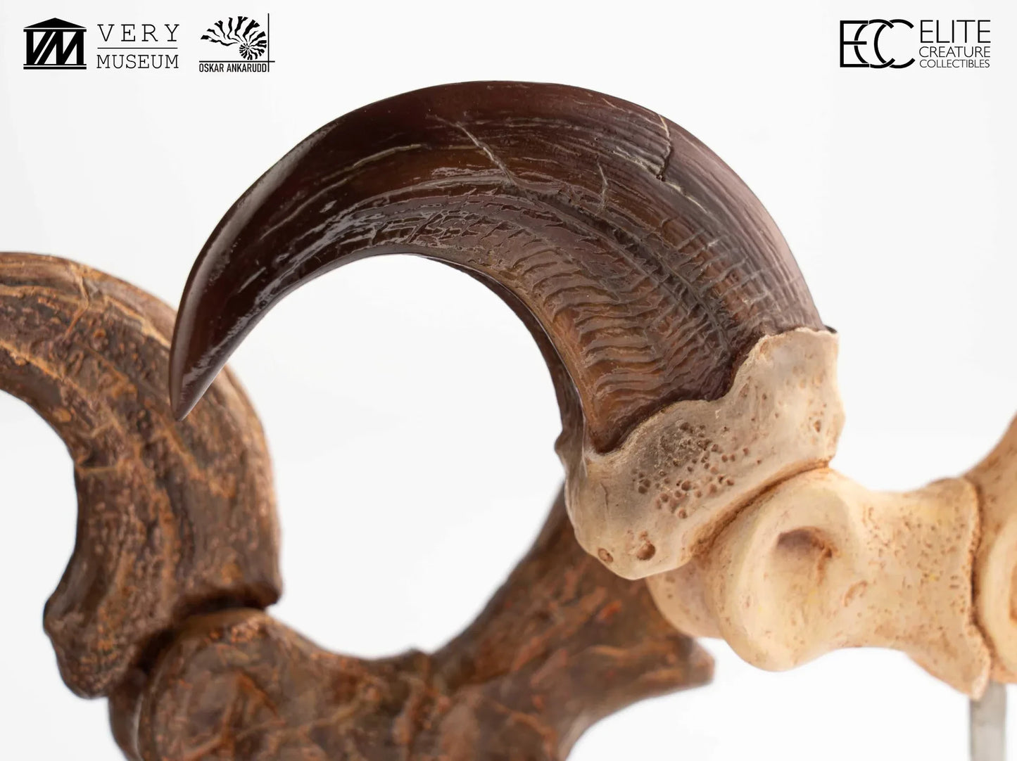 JURASSIC PARK VELOCIRAPTOR FOOT CLAW AND FOSSIL CLAW SET