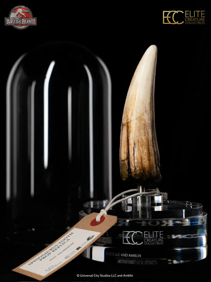 JURASSIC PARK III SPINOSAURUS TOOTH PROP REPRODUCTION