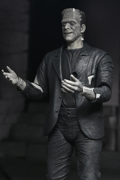UNIVERSAL MONSTERS BRIDE OF FRANKENSTEIN 90TH MONSTER & HIS MATE B&W 2PACK