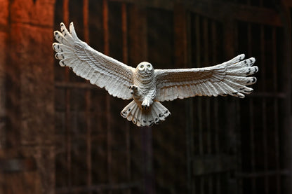 HARRY POTTER LEGACY COLLECTION HARRY POTTER AF