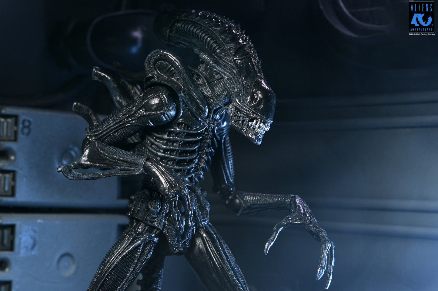 NECA ALIENS 40TH ANNIVERSARY WARRIOR XENOMORPH BLACK ULTIMATE AF ACTION FIGURE 23 cm