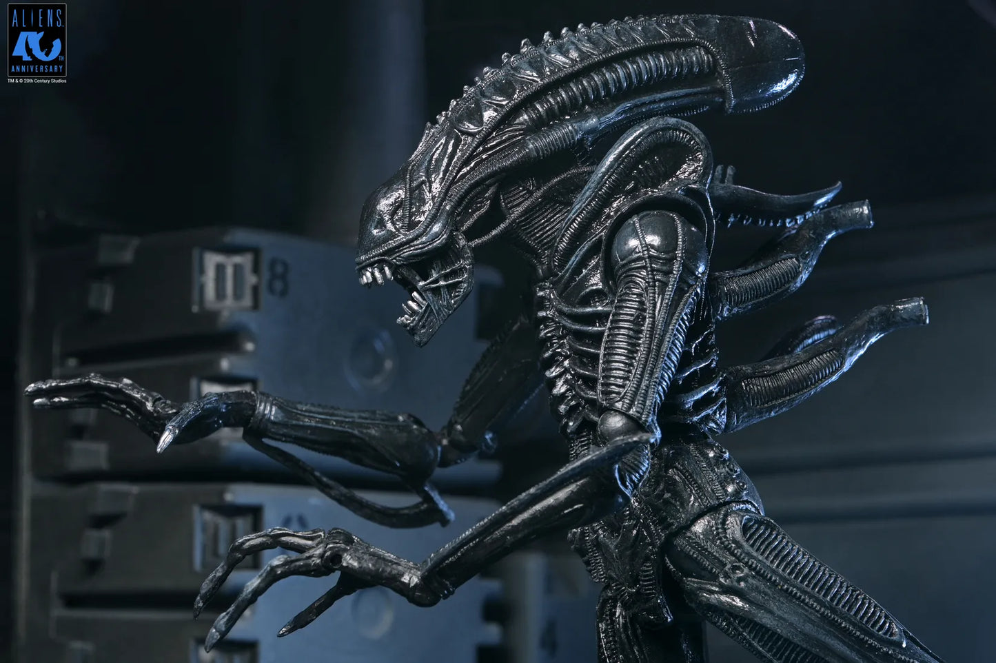 NECA ALIENS 40TH ANNIVERSARY WARRIOR XENOMORPH BLACK ULTIMATE AF ACTION FIGURE 23 cm