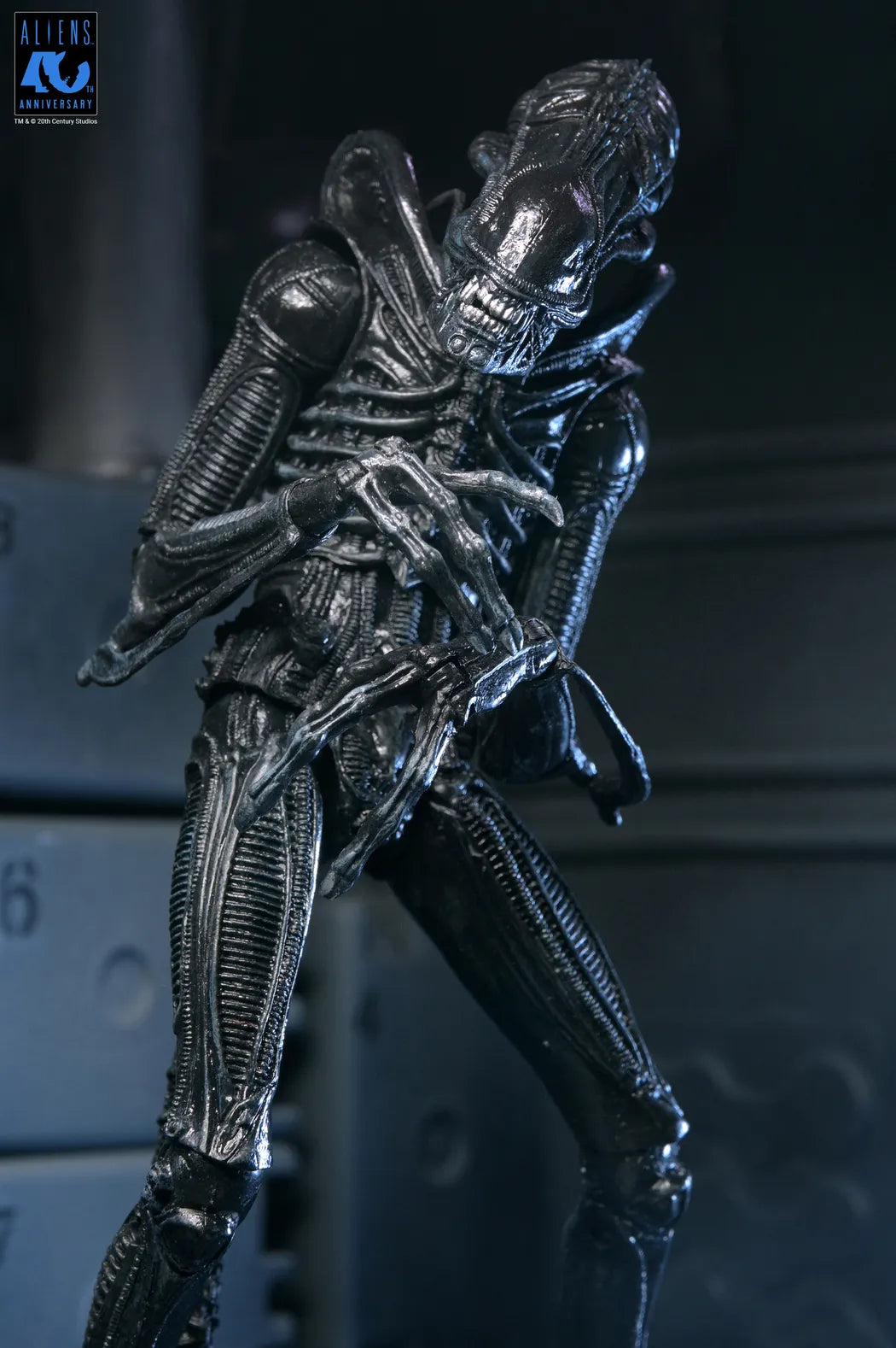 NECA ALIENS 40TH ANNIVERSARY WARRIOR XENOMORPH BLACK ULTIMATE AF ACTION FIGURE 23 cm