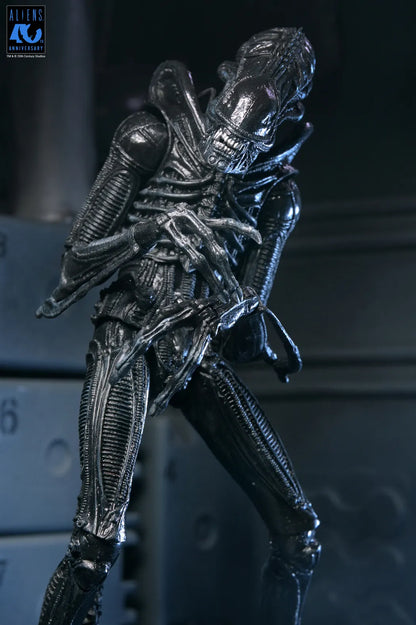 NECA ALIENS 40TH ANNIVERSARY WARRIOR XENOMORPH BLACK ULTIMATE AF ACTION FIGURE 23 cm