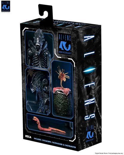 NECA ALIENS 40TH ANNIVERSARY WARRIOR XENOMORPH BLACK ULTIMATE AF ACTION FIGURE 23 cm