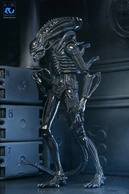 NECA ALIENS 40TH ANNIVERSARY WARRIOR XENOMORPH BLACK ULTIMATE AF ACTION FIGURE 23 cm