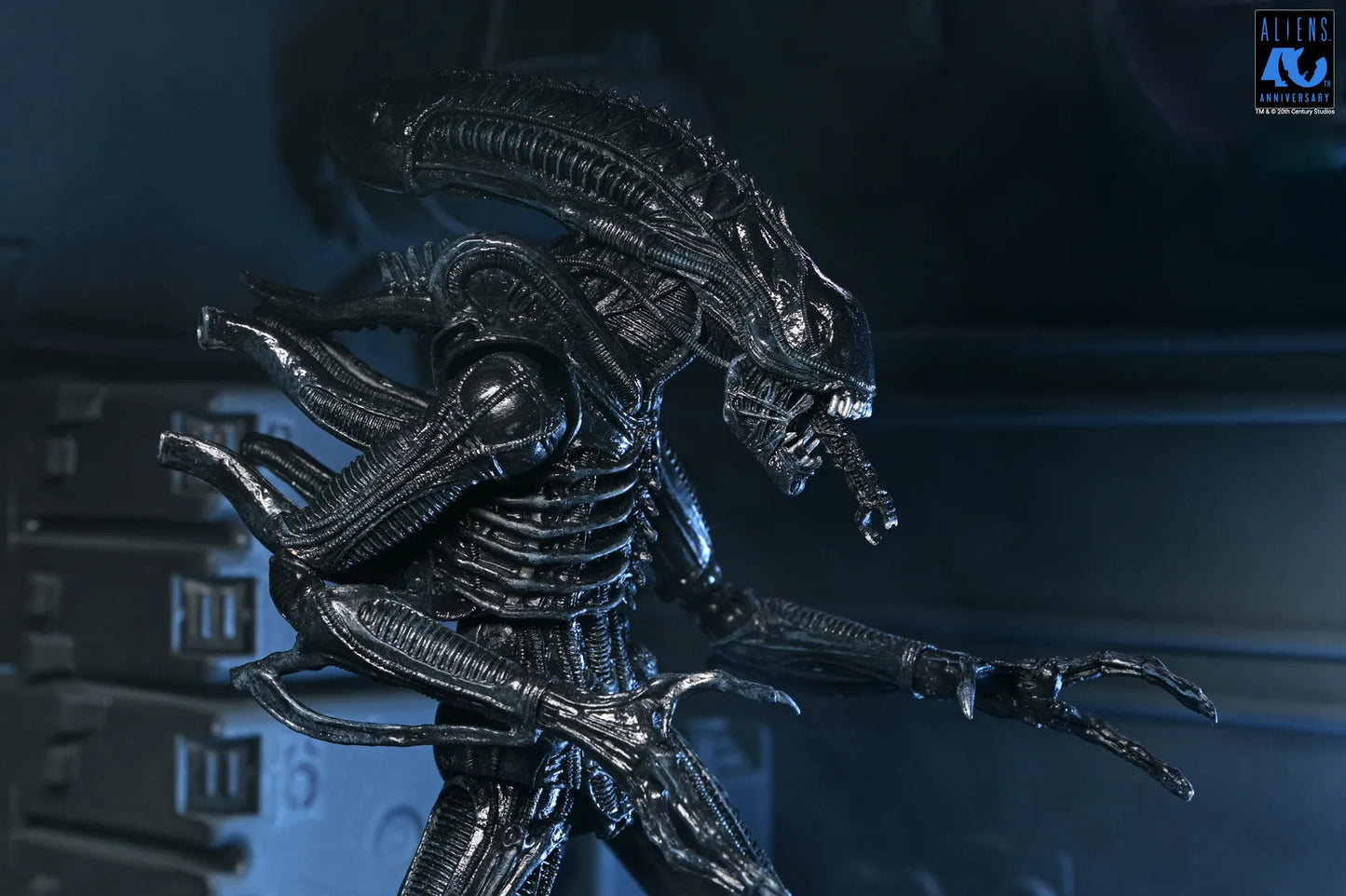 NECA ALIENS 40TH ANNIVERSARY WARRIOR XENOMORPH BLACK ULTIMATE AF ACTION FIGURE 23 cm