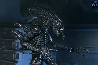NECA ALIENS 40TH ANNIVERSARY WARRIOR XENOMORPH BLACK ULTIMATE AF ACTION FIGURE 23 cm