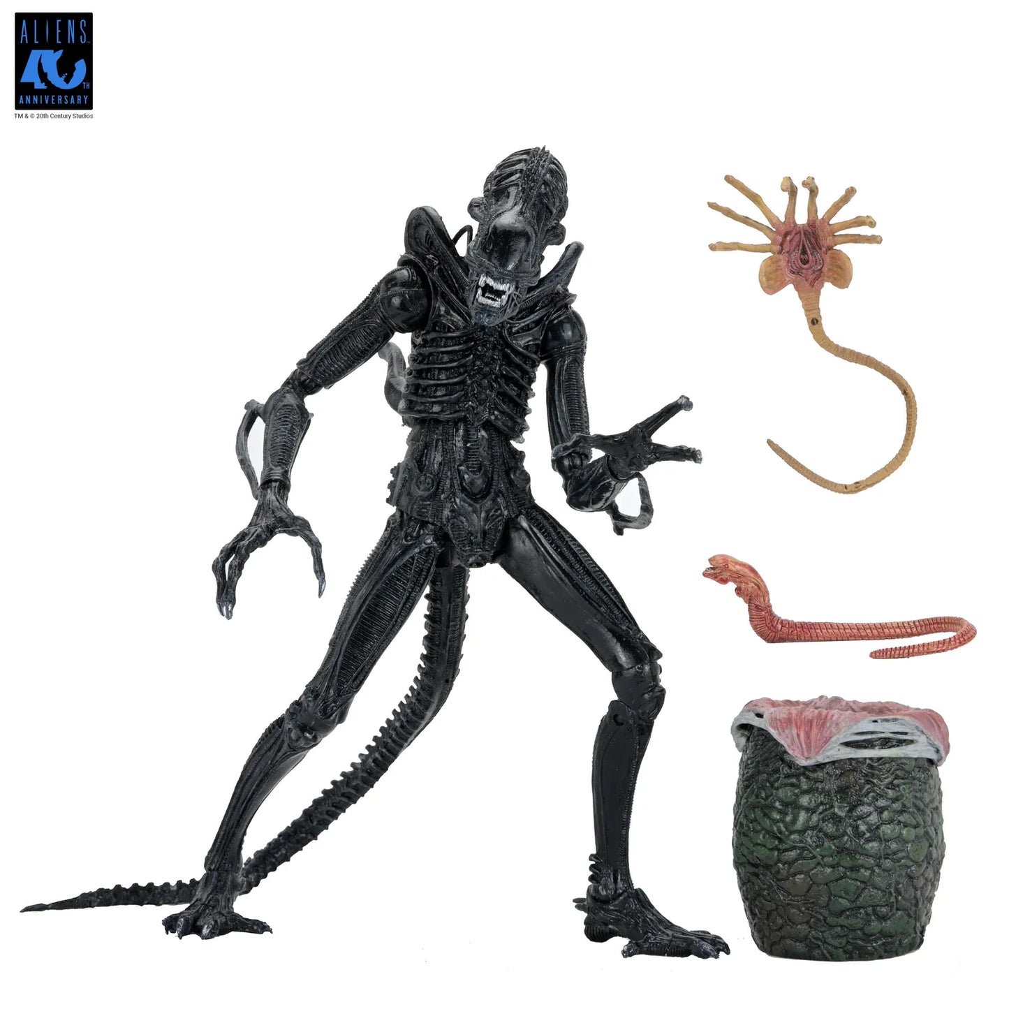 NECA ALIENS 40TH ANNIVERSARY WARRIOR XENOMORPH BLACK ULTIMATE AF ACTION FIGURE 23 cm