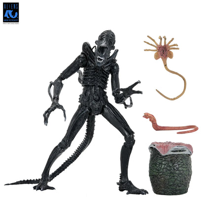 NECA ALIENS 40TH ANNIVERSARY WARRIOR XENOMORPH BLACK ULTIMATE AF ACTION FIGURE 23 cm