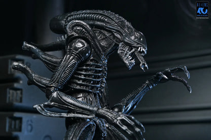 NECA ALIENS 40TH ANNIVERSARY WARRIOR XENOMORPH BLACK ULTIMATE AF ACTION FIGURE 23 cm