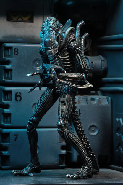 NECA ALIENS ALIEN WARRIOR BLUE 1986 ULTIMATE AF ACTION FIGURE 23 cm