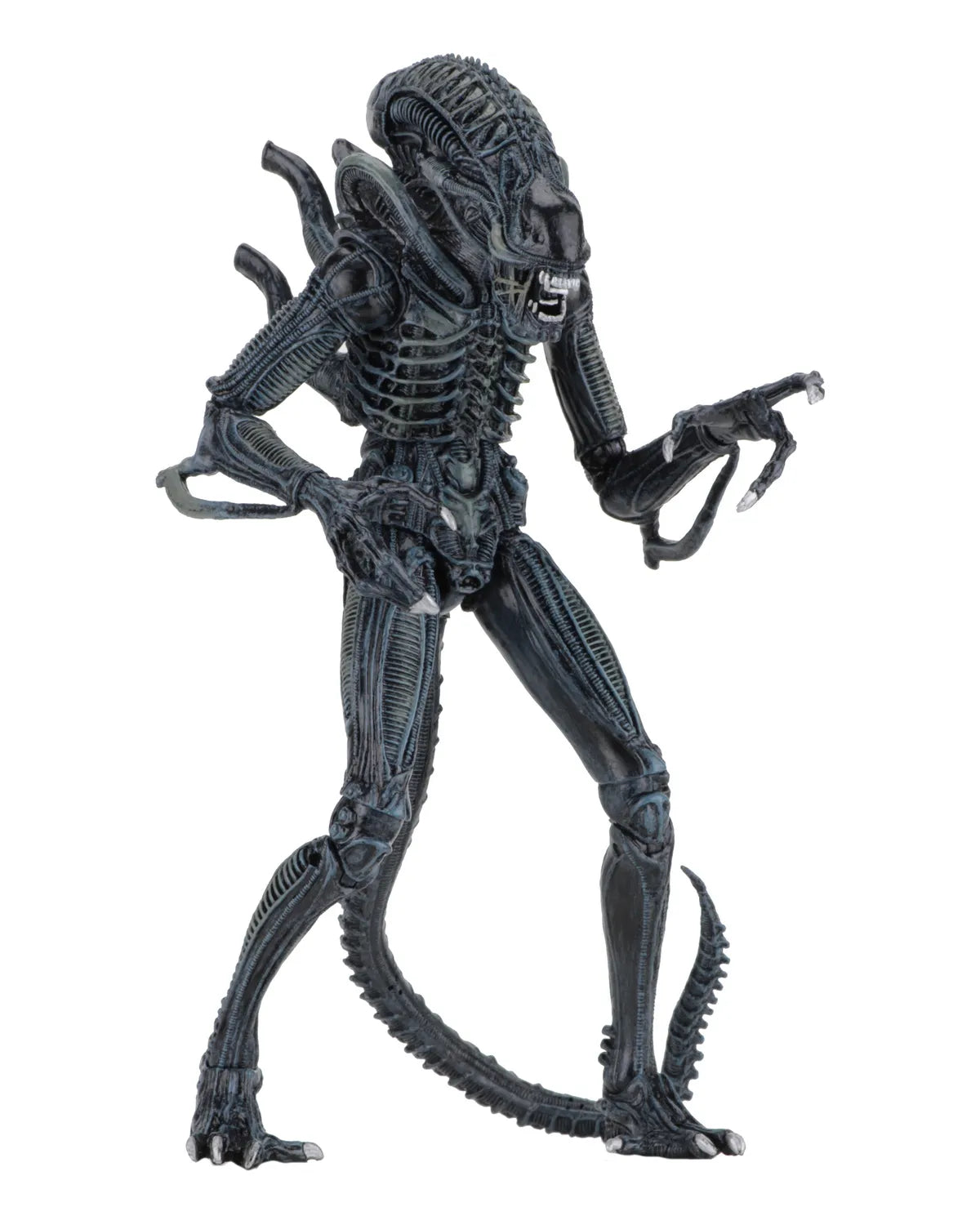 NECA ALIENS ALIEN WARRIOR BLUE 1986 ULTIMATE AF ACTION FIGURE 23 cm