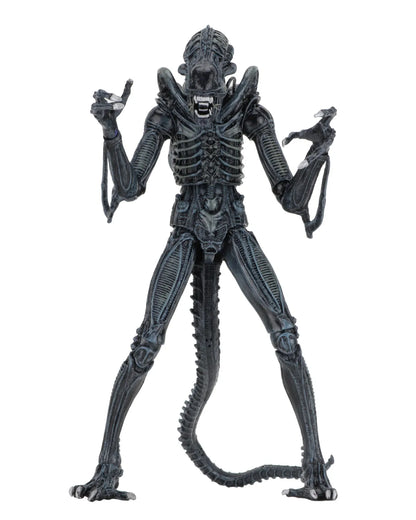 NECA ALIENS ALIEN WARRIOR BLUE 1986 ULTIMATE AF ACTION FIGURE 23 cm