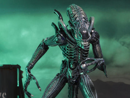 NECA ALIENS ALIEN WARRIOR BLUE 1986 ULTIMATE AF ACTION FIGURE 23 cm