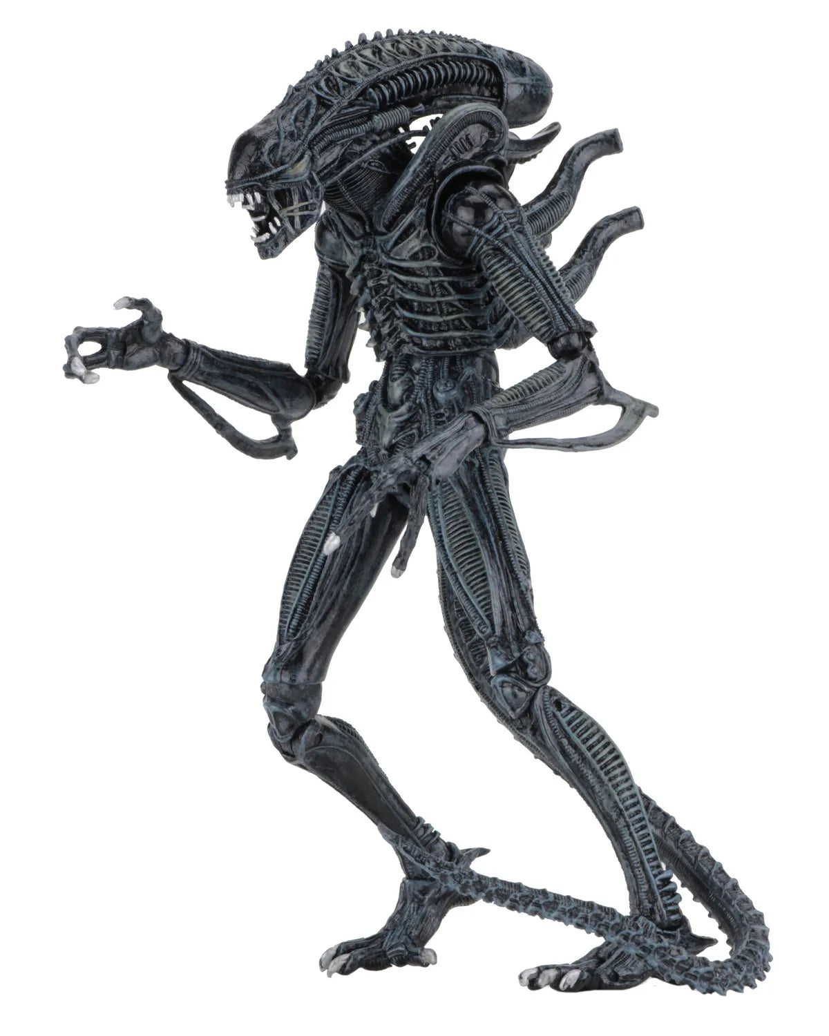 NECA ALIENS ALIEN WARRIOR BLUE 1986 ULTIMATE AF ACTION FIGURE 23 cm