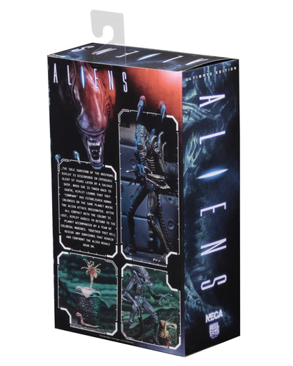 NECA ALIENS ALIEN WARRIOR BLUE 1986 ULTIMATE AF ACTION FIGURE 23 cm