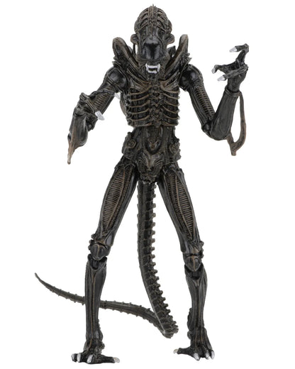 NECA ALIENS ALIEN WARRIOR BROWN 1986 ULTIMATE AF ACTION FIGURE 23 cm