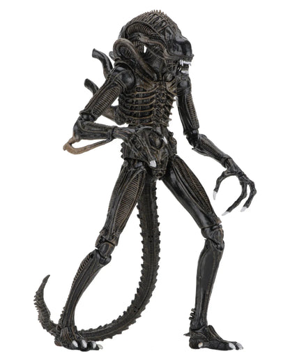 NECA ALIENS ALIEN WARRIOR BROWN 1986 ULTIMATE AF ACTION FIGURE 23 cm