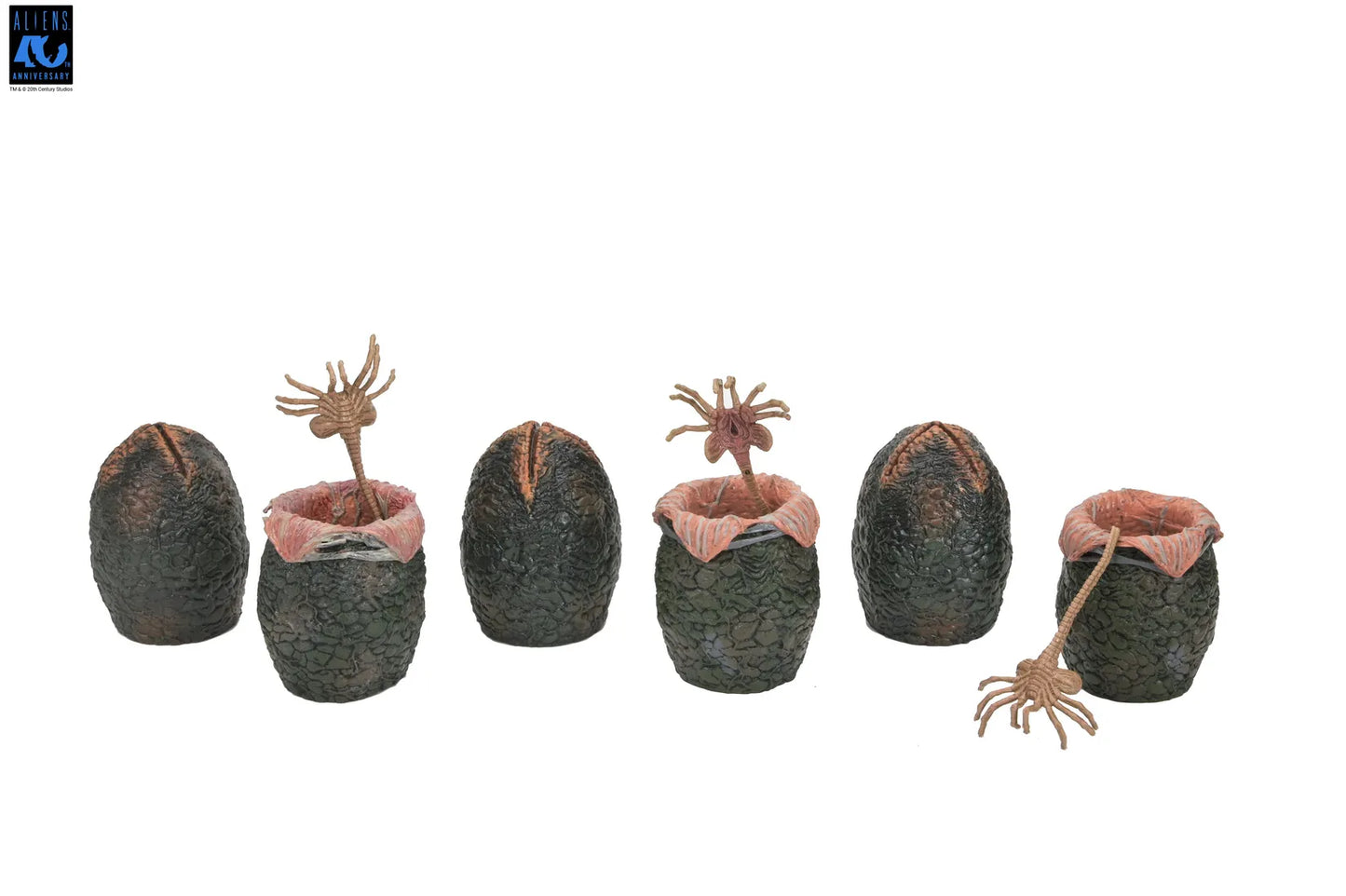 NECA ALIENS 40TH ANNIVERSARY ALIEN EGGS 6 ACCESSORY PACK FIGURA