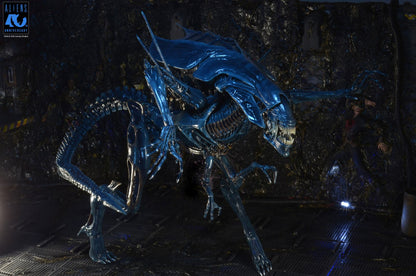 NECA ALIENS 40TH ANNIVERSARY ALIEN QUEEN ULTRA DELUXE AF ACTION FIGURE 37 cm