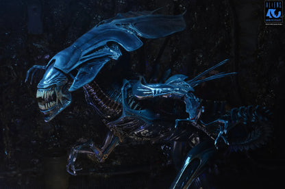NECA ALIENS 40TH ANNIVERSARY ALIEN QUEEN ULTRA DELUXE AF ACTION FIGURE 37 cm