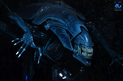 NECA ALIENS 40TH ANNIVERSARY ALIEN QUEEN ULTRA DELUXE AF ACTION FIGURE 37 cm
